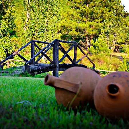 Archontariki 4* Polýgyros