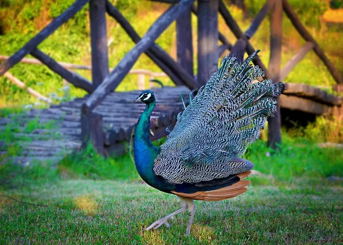 Archontariki Maison d'hôtes Polýgyros